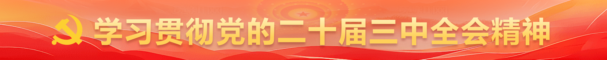 學習貫徹黨的二十屆三中全會精神